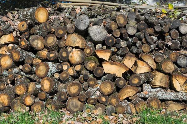 În România există milioane de case care au încălzirea pe lemne