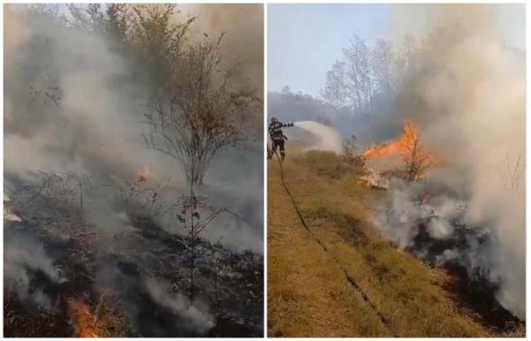 Incendiu puternic de vegetaţie în Vulpeşti, Argeş
