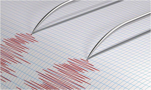 Cutremur azi în România. Seismul de 4.2 pe Richter s-a produs în Vrancea