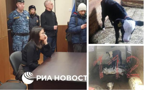 O americancă, arestată în Rusia după ce a plimbat un viţel în Piaţa Roşie din Moscova. Mesajul pe care a vrut să-l transmită