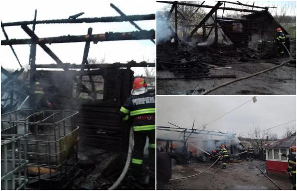 Incendiu teribil la un adăpost de animale din Suceava. 30 de păsări au fost ucise de flăcări, proprietara a ajuns la spital cu arsuri