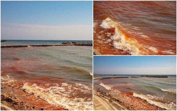 Fenomen inedit pe litoral: Marea Neagră a devenit roșie în stațiunea Olimp. Ce explicații au specialiștii