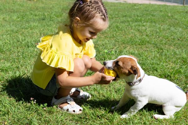 copil care se joacă cu un câine pe iarbă