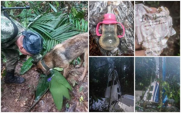 Miracol după catastrofă: Patru copii au fost găsiţi în viaţă la mai bine de 2 săptămâni după ce avionul în care se aflau s-a prăbuşit într-o junglă