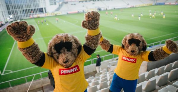 Ştiaţi că? Despre RONNY, mascota care susține naţionalele de fotbal ale României