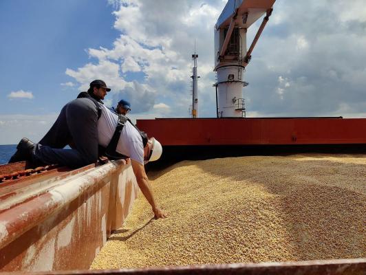 Preţul grâului a crescut după ce Rusia a ieşit din acordul de export al cerealelor prin Marea Neagră. Ce vrea de fapt Kremlinul