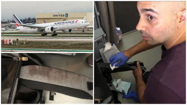 "Nu mă așteptam să găsesc mai mult sânge decât am văzut în Beirut într-un avion Air France". Călătoria dezastruoasă a unui cuplu care a zburat pe ruta Paris-Toronto