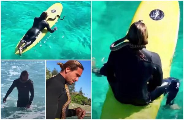 Un bărbat s-a filmat în timp ce făcea surfing cu un piton înfăşurat în jurul gâtului, în Australia. Ce pedeapsă a primit