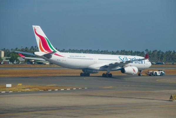 Un şobolan a ţinut 3 ore la sol un avion din Sri Lanka. Angajaţii companiei au trebuit să verifice fiecare cablu al aeronavei ca să nu fie ros