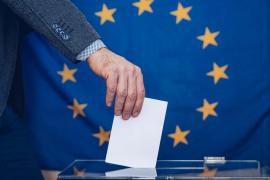 Lista partidelor şi candidaţilor independenţi care participă la alegerile europarlamentare 2024