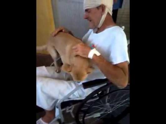 EMOŢIONANT! Un câine şi-a aşteptat stăpânul 8 zile în faţa spitalului