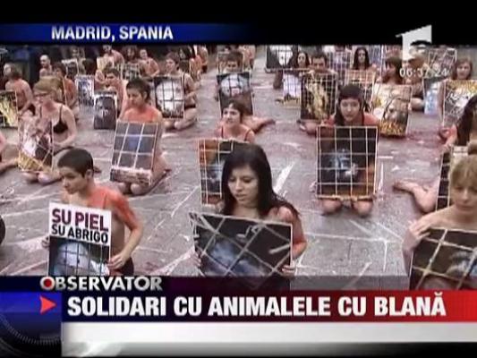 Manifest antiblana la Madrid