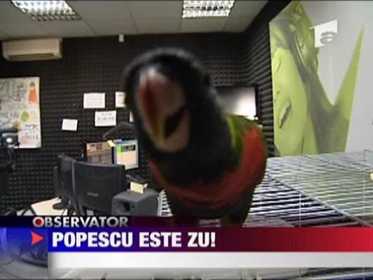 Morning Zu: Razvan si papagalul Popescu