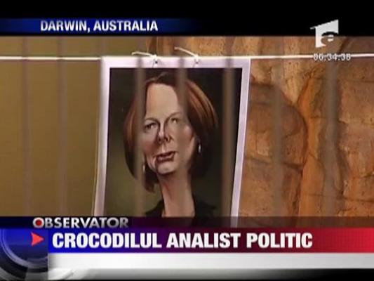 Crocodilul, analist politic