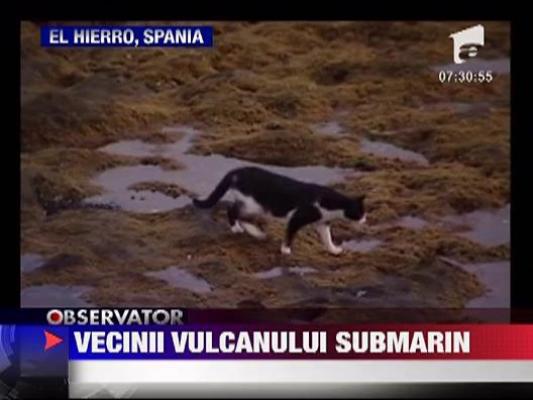 Vulcanul submarin din Insulele Canare a bagat un om in spital