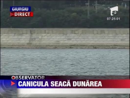 Canicula seaca Dunarea