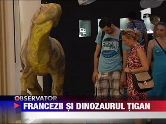 Arheologii au botezat "tigan" o specie de dinozaur descoperita in sudul Frantei