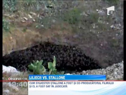 Actorul Sylvester Stallone a fost amendat in Bulgaria pentru ca a tulburat linistea unor lilieci