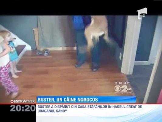 O familie si-a recuperat cainele, disparut in timpul uraganului Sandy, cu doar cateva ore inainte sa fie eutanasiat