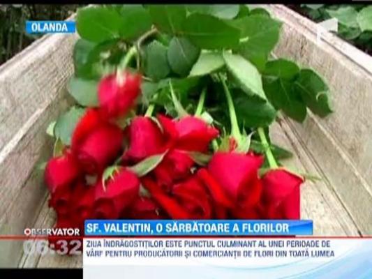 De Sfantul Valentin, vanzarile au crescut cu 50% pentru producatorii si comerciantii de flori din toata lumea