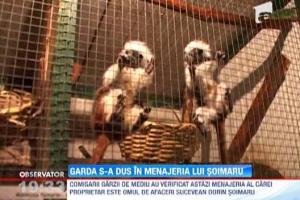 Gradina zoologica privata detinuta de Dorin Soimaru, verificata de Garda de Mediu