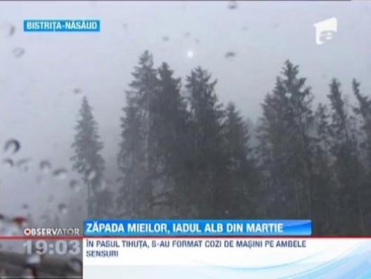 S-a intors iarna in Romania!