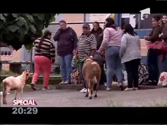 SPECIAL!!! Niste capre ciudate au pus pe jar o comunitate din Brazilia
