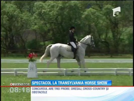 Spectacol la Transylvania Horse Show