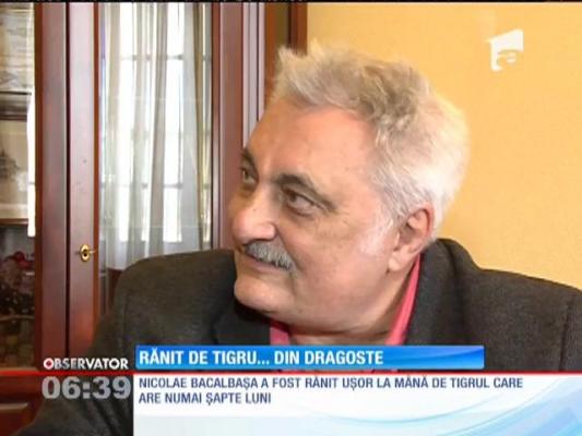Nicolae Bacalbaşa, preşedintele CJ din Galaţi, a fost rănit de un tigru