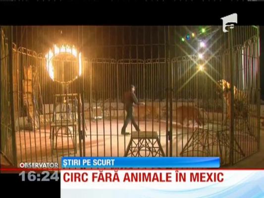 Circ fără animale în Mexic