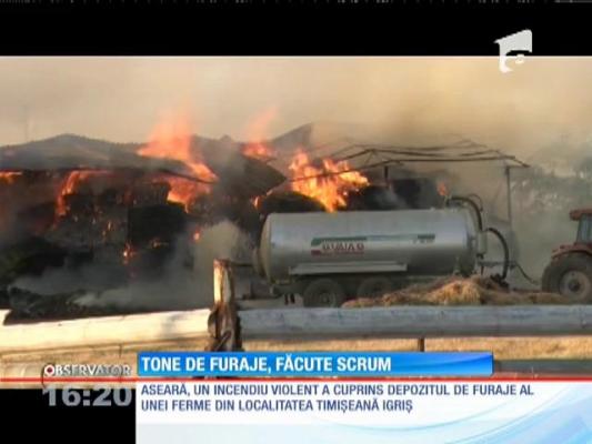 Incendiu în depozitul de furaje a unei femei din localitatea Igriș