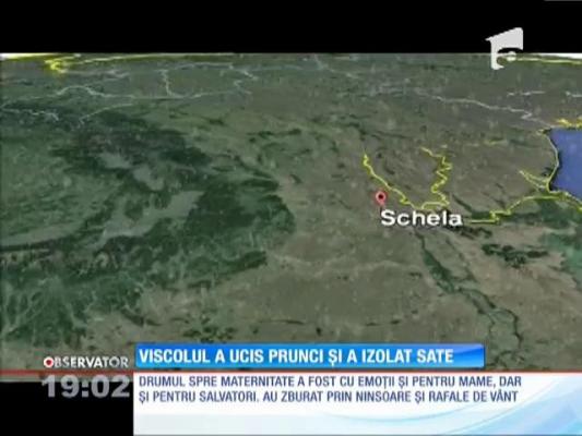Viscolul a ucis prunci şi a izolat sate din sud-estul României