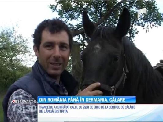 Un francez vrea să ajungă din România până în Germania călare pe un cal