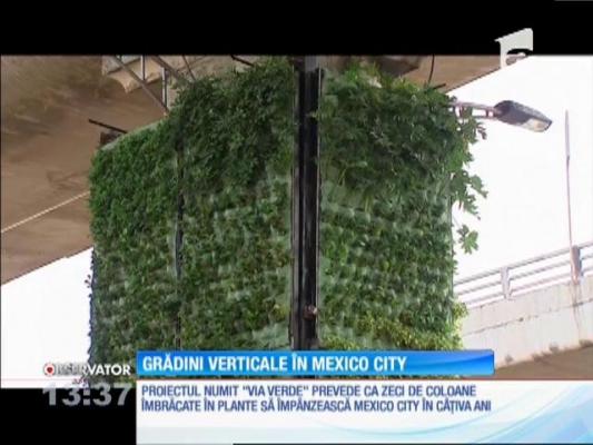Grădini verticale în Mexico City