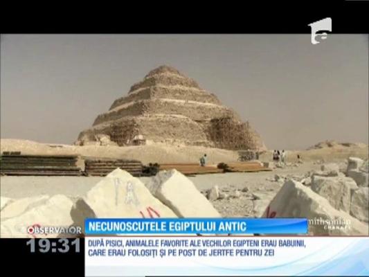 Necunoscutul Egiptului Antic