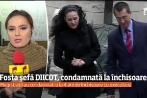 Alina Bica a fost CONDAMNATĂ la 4 ani de închisoare cu executare. Adriean Videanu, ACHITAT