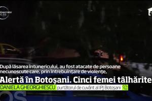 Teroare în Botoșani: 5 FEMEI bătute crunt și jefuite de tâlhari, în doar 24 DE ORE. Ar putea fi atacatori în serie (IMAGINI ȘOCANTE)