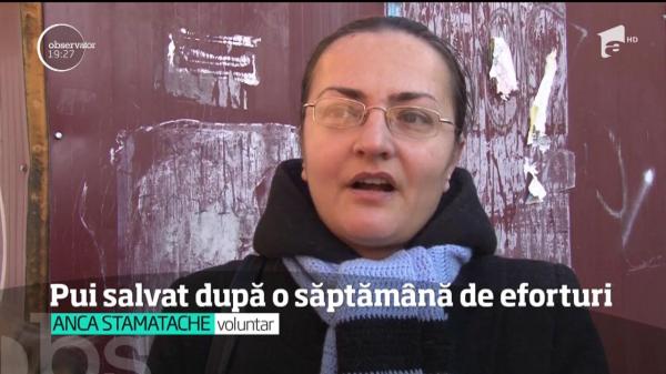 O cățelușă a fost salvată, în Bacău, dintr-un canal, după O SĂPTĂMÂNĂ de eforturi (VIDEO)