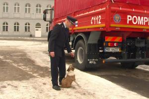 Un căţeluş salvat dintr-un incendiu a devenit... pompier. E noul recrut al ISU Târgu Mureş (VIDEO)
