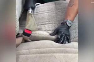 Acest video dă fiori şoferilor: cu un aspirator de mână, un tânăr dovedeşte câtă murdărie depozitează scaunele maşinii