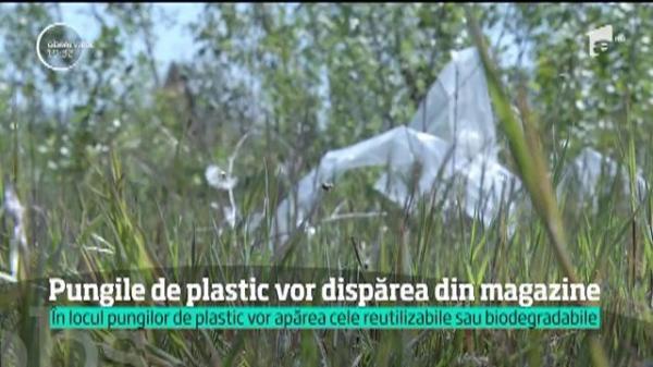 Pungile de plastic ar putea fi interzise în magazine, pentru că poluează, se rup repede şi ajung la gunoi
