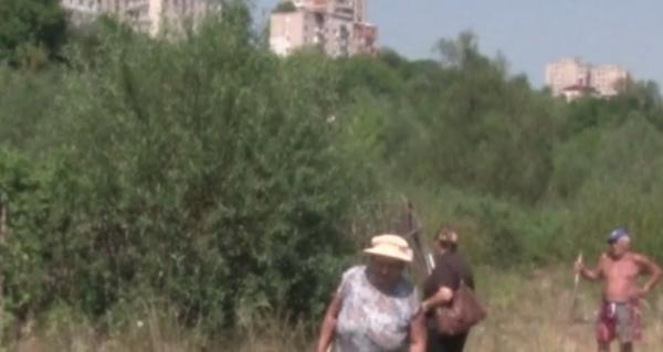 Femeia care şi-a găsit vecinul DEVORAT DE CÂINII vagabonzi, la Hunedoara, are coşmaruri: "Mi s-a făcut rău când am văzut"