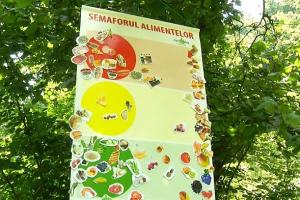 Greu în România: cum poate fi tratată obezitatea infantilă