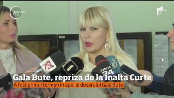 Elena Udrea, la Înalta Curte de Casaţie şi Justiţie, la primul termen al apelului din dosarul "Gala Bute"!