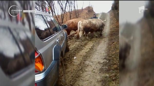 Jeep scos cu boii din nămol, în Buzău