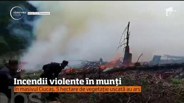 Ard pădurile. 30 de hectare de pădure au fost nimicite de un incendiu în Maramureş
