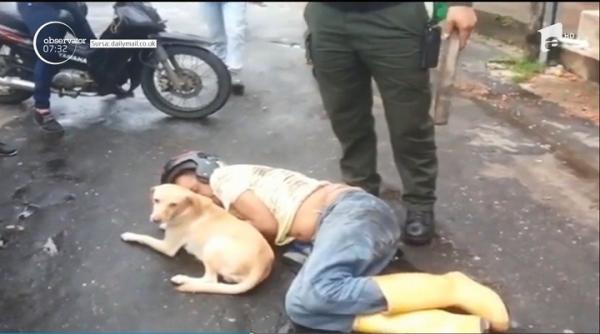 Prieten şi-n momente grele: un câine îşi apără cu înverşunare stăpânul care doarme beat, pe stradă