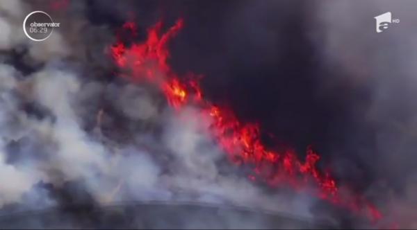 Incendiu devastator de vegetaţie în California