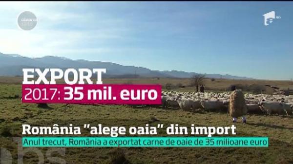 România este în topul crescătorilor de oi din Europa, dar mâncăm carne tot din import