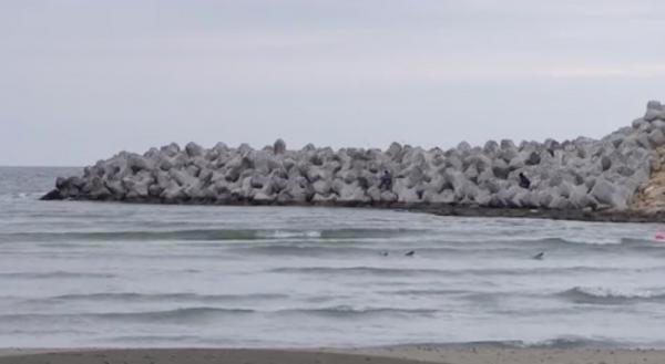 Situaţie îngrijorătoare pe litoralul românesc. 100 de kilograme de plastic şi mucuri de ţigară, adunate de voluntari